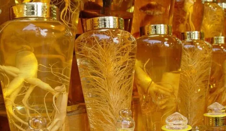 Бутылки с целыми корнями женьшеня в настойке на витрине