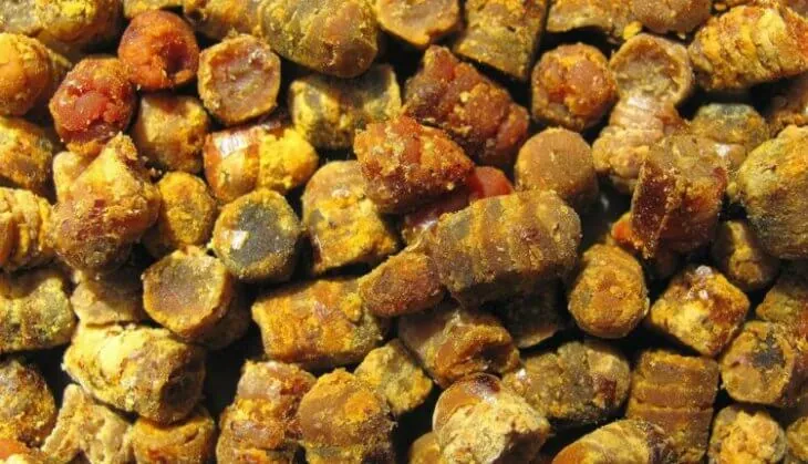 Гранулы пчелиной перги