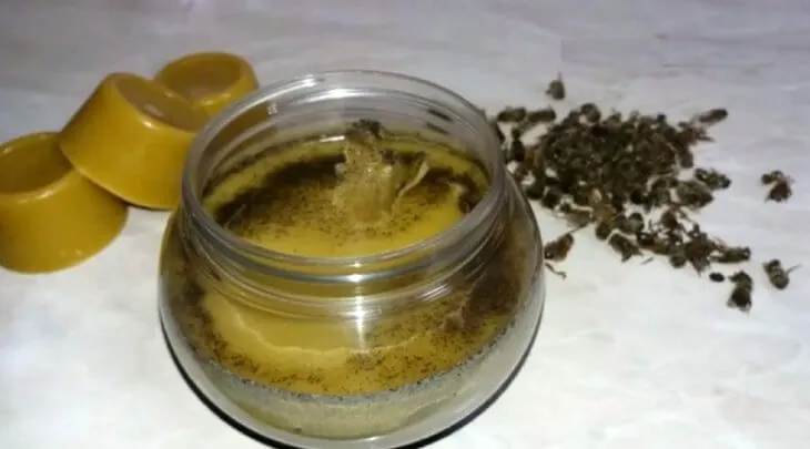 Банка домашней мази с прополисом и подмором, рядом кусочки воска и сухие пчелы