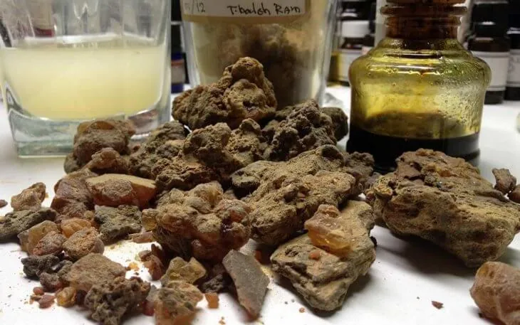 Куски прополиса рядом со склянками настойки