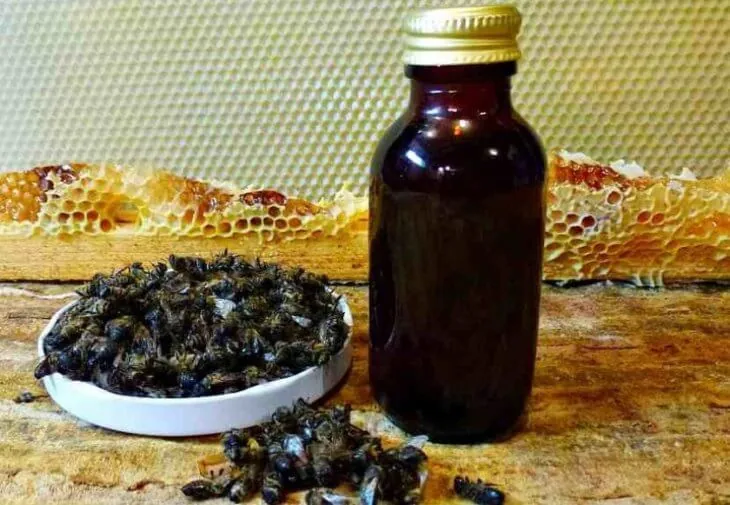 Флакон настойки пчелиного подмора и сухие пчелы на блюдце