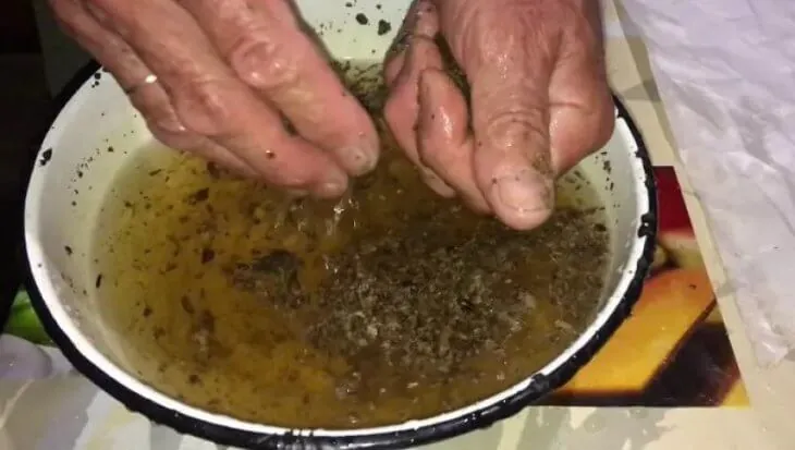 Руки перебирают измельченный прополис в тазу с водой