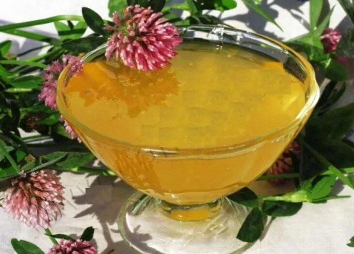 элитные сорта
