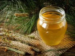 виды по месту и времени сбора