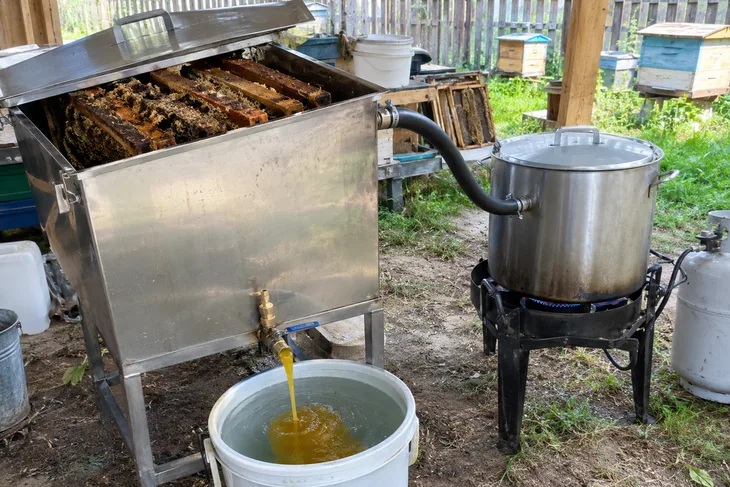 Самодельная паровая воскотопка: камера из нержавейки с рамками, шланг от кастрюли-парогенератора на газовой горелке, воск стекает в ведро с водой